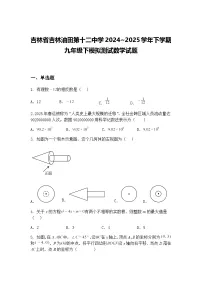 吉林省吉林油田第十二中学2024~2025学年下学期九年级下模拟测试数学试题（含答案解析）