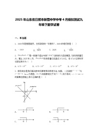 2025年山东省日照市新营中学中考4月模拟测试九年级下数学试卷（含答案解析）