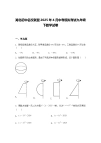 湖北初中名校联盟2025年4月中考模拟考试九年级下数学试卷（含答案解析）