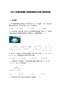 2025年贵州省铜仁市模拟预测九年级下数学试题（含答案解析）