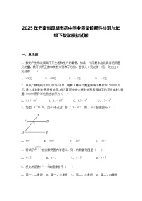 2025年云南省昆明市初中学业质量诊断性检测九年级下数学模拟试卷（含答案解析）