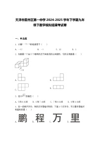 天津市蓟州区第一中学2024-2025学年下学期九年级下数学模拟结课考试卷（含答案解析）