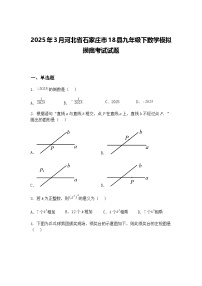 2025年3月河北省石家庄市18县九年级下数学模拟摸底考试试题（含答案解析）