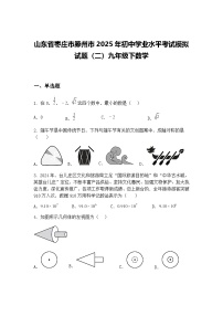 山东省枣庄市滕州市2025年初中学业水平考试模拟试题（二）九年级下数学（含答案解析）