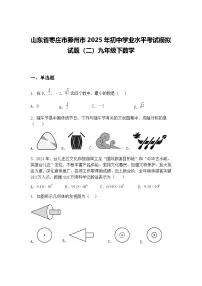 山东省枣庄市滕州市2025年初中学业水平考试模拟试题（二）九年级下数学（含答案解析）