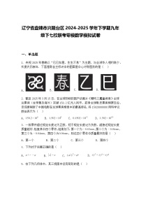 辽宁省盘锦市兴隆台区2024-2025学年下学期九年级下七校联考零模数学模拟试卷（含答案解析）