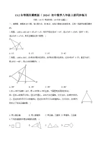 初中数学冀教版（2024）八年级上册（2024）第十三章 全等三角形13.2 全等图形优秀当堂检测题