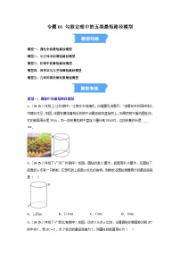 初中数学苏科版（2024）八年级上册（2024）综合与实践精品随堂练习题