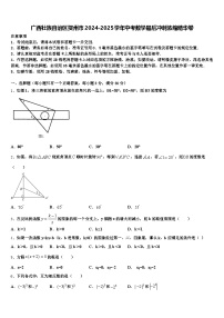 广西壮族自治区贺州市2024-2025学年中考数学最后冲刺浓缩精华卷含解析