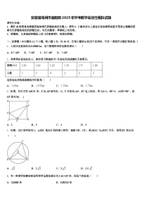 安徽省亳州市涡阳县2025年中考数学适应性模拟试题含解析