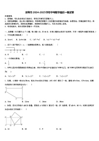 深圳市2024-2025学年中考数学最后一模试卷含解析