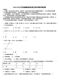 2024-2025学年西藏阿里地区普兰县中考数学模试卷含解析
