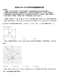 林州市2024-2025学年中考试题猜想数学试卷含解析