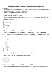 陕西省宝鸡市凤翔县2024-2025学年中考数学对点突破模拟试卷含解析
