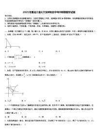 2025年黑龙江省大兴安岭地区中考冲刺卷数学试题含解析