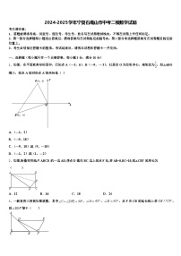 2024-2025学年宁夏石嘴山市中考二模数学试题含解析