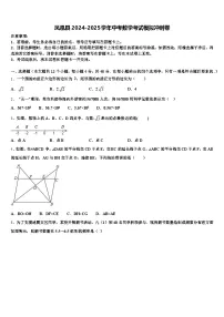 凤凰县2024-2025学年中考数学考试模拟冲刺卷含解析