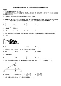 陕西省西安市新城区2025届中考适应性考试数学试题含解析