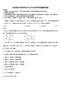 山东省济宁市市中区2024-2025学年中考五模数学试题含解析
