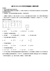 廉江市2024-2025学年中考考前最后一卷数学试卷含解析