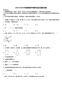 2024-2025学年象州县中考数学适应性模拟试题含解析