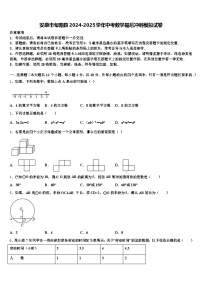 安康市旬阳县2024-2025学年中考数学最后冲刺模拟试卷含解析