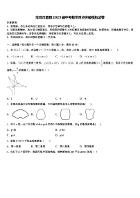 宝鸡市眉县2025届中考数学对点突破模拟试卷含解析