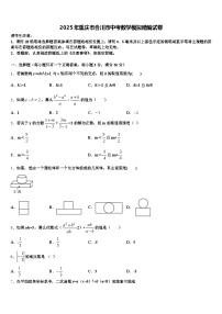 2025年重庆市合川市中考数学模拟精编试卷含解析