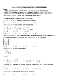 2024-2025学年广西壮族自治区柳州市中考数学模拟试题含解析