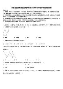 黔南布依族苗族自治州罗甸县2025年中考数学模拟预测试卷含解析