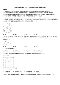 石家庄市鹿泉区2025年中考数学适应性模拟试题含解析
