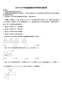 2024-2025学年湖南省娄底市中考数学五模试卷含解析