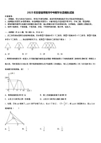2025年安徽省阜阳市中考数学全真模拟试题含解析
