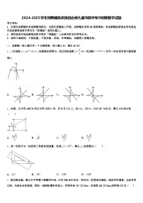 2024-2025学年阿坝藏族羌族自治州九寨沟县中考冲刺卷数学试题含解析
