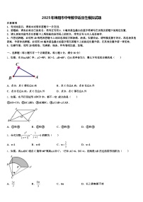 2025年绵阳市中考数学适应性模拟试题含解析