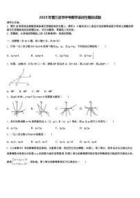 2025年普兰店市中考数学适应性模拟试题含解析