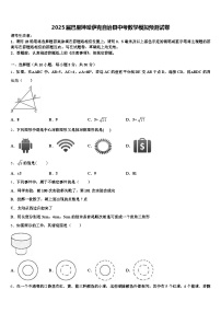 2025届巴里坤哈萨克自治县中考数学模拟预测试卷含解析