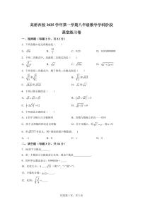 上海市上海师范大学附属高桥实验中学2025_2026学年上学期八年级数学月考试卷【附答案】