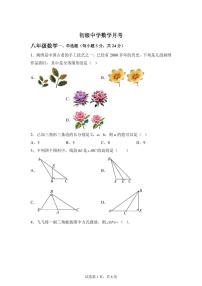 新疆维吾尔自治区阿勒泰地区福海县2025_2026学年八年级上学期9月月考数学试题【附答案】
