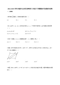2024~2025学年内蒙古自治区赤峰市八年级下册期末考试数学试卷（含答案）
