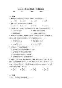2024-2025学年上海市九年级下学期初中中考模拟数学试题