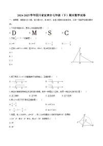 2024-2025学年四川省宜宾市七年级（下）期末数学试卷-自定义类型
