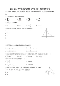 2024-2025学年四川省宜宾市七年级（下）期末数学试卷-自定义类型