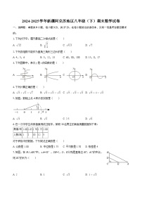 2024-2025学年新疆阿克苏地区八年级（下）期末数学试卷-自定义类型