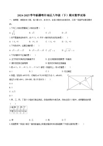 2024-2025学年新疆喀什地区八年级（下）期末数学试卷-自定义类型