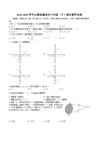 2024-2025学年云南省德宏州八年级（下）期末数学试卷-自定义类型