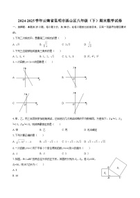 2024-2025学年云南省昆明市西山区八年级（下）期末数学试卷-自定义类型