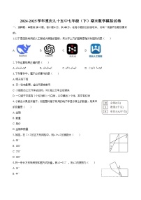2024-2025学年重庆九十五中七年级（下）期末数学模拟试卷-自定义类型