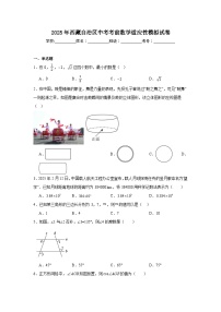 2025年西藏自治区中考考前数学适应性模拟试卷（附答案解析）