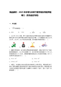 精品解析：2025年中考九年级下数学模拟考前押题卷三（青岛地区专用）（含答案解析）
